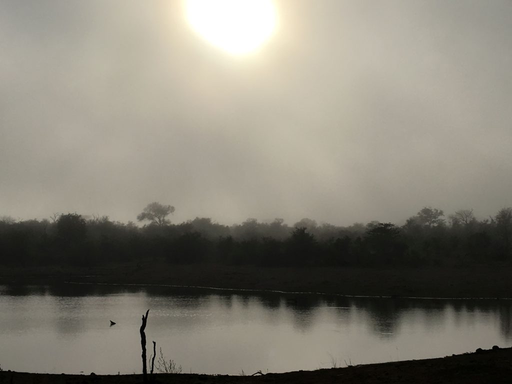 Early-morning-in-the-Timbavati-1024x768